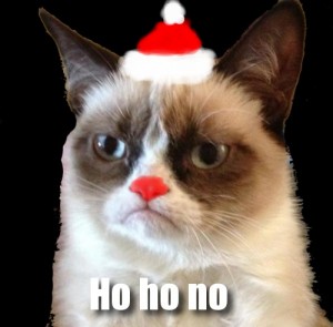 Holiday-Grumpy-Cat-Internet-Meme